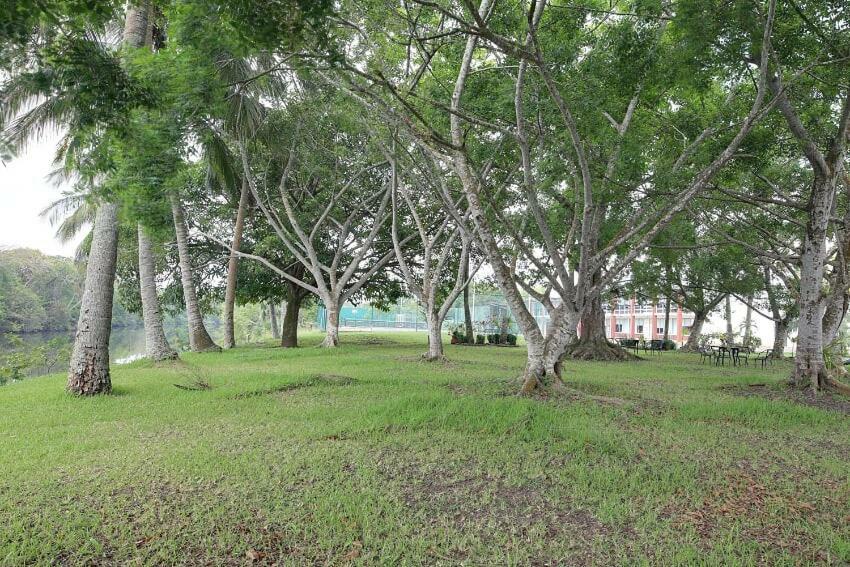 Hotel Plaza Palmas Tuxpan  外观 照片